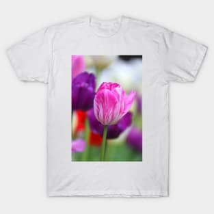 Pink & White Tulip T-Shirt